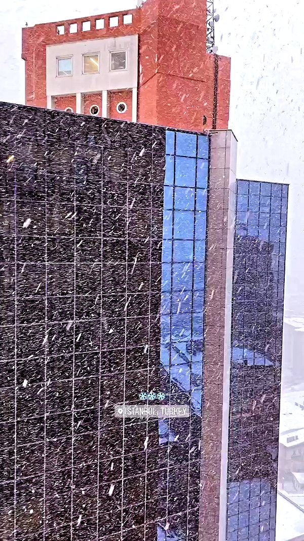 roni.benshushan archive video preview