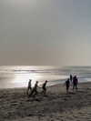 belok_bero Altpins Profile Picture