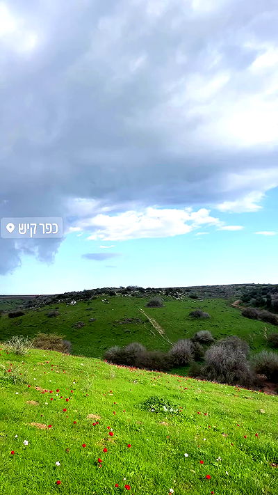 liad.arazi liad.arazi archive video