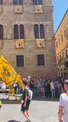 noa_mendel_ Altpins Profile Picture