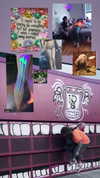 heathergrace67 Altpins Profile Picture