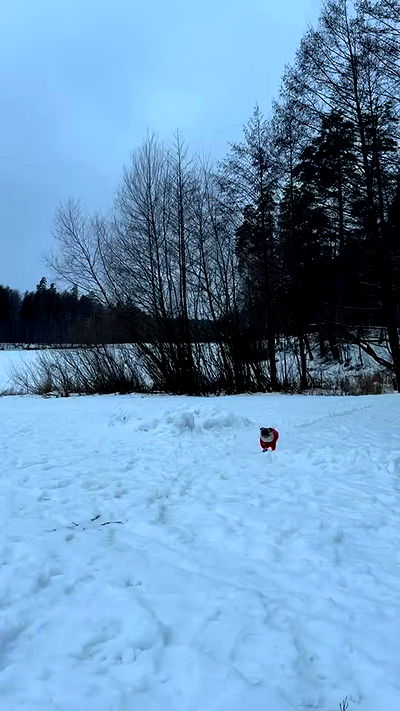 nyityam nyityam archive video