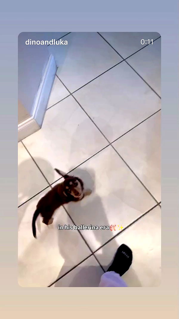 _._dianush._ archive video preview