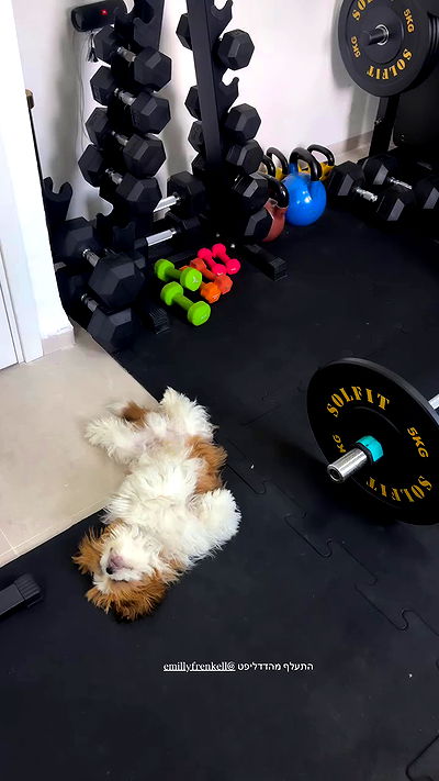 noammalka___ noammalka___ archive video