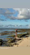 veronika_grish Altpins Profile Picture