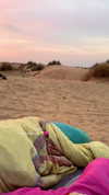 noa_mendel_ Altpins Profile Picture