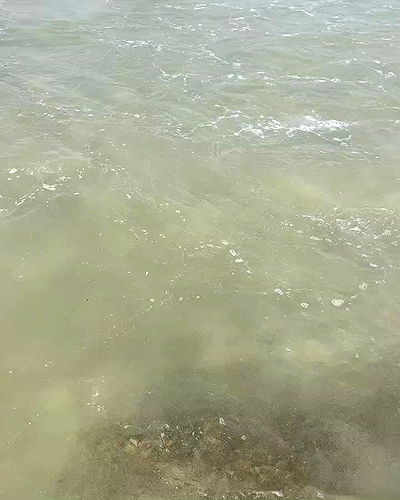 yam_adler yam_adler archive video