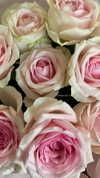 ___.ilana._ Altpins Profile Picture