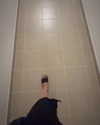 dianavgalvis Altpins Profile Picture
