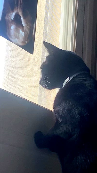 feelbetterinmysweater feelbetterinmysweater archive video