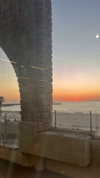 lisush_9 Altpins Profile Picture