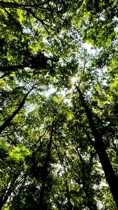 noa_zemlyanski noa_zemlyanski archive video