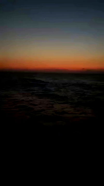 noa_zemlyanski noa_zemlyanski archive video