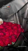 karin_orhov Altpins Profile Picture