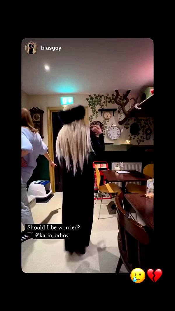 karin_orhov archive video preview