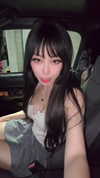 dinasaur_0_0_ Altpins Profile Picture