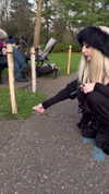karin_orhov Altpins Profile Picture