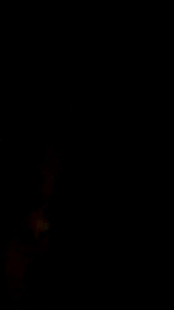zaperwave archive video preview