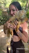 karin_orhov Altpins Profile Picture