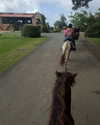 mulan.vx Altpins Profile Picture