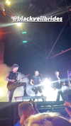 karin_orhov Altpins Profile Picture