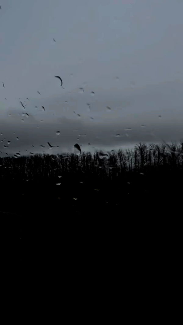 nyityam archive video preview