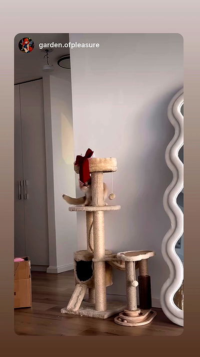 itsilanosh itsilanosh archive video