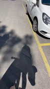 karin_orhov Altpins Profile Picture