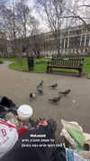 karin_orhov Altpins Profile Picture
