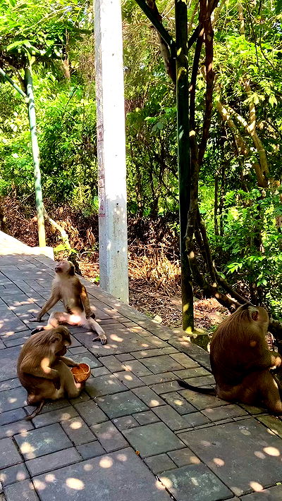 g.a.l.1.a g.a.l.1.a archive video