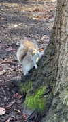 karin_orhov Altpins Profile Picture
