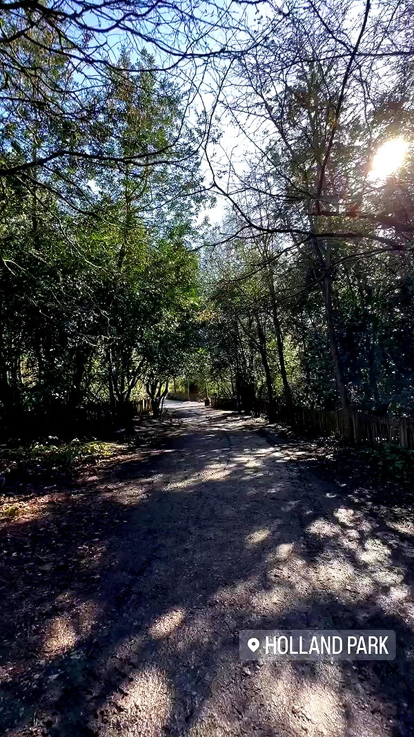 karin_orhov archive video preview