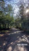 karin_orhov Altpins Profile Picture