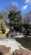 karin_orhov Altpins Profile Picture