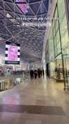 karin_orhov Altpins Profile Picture