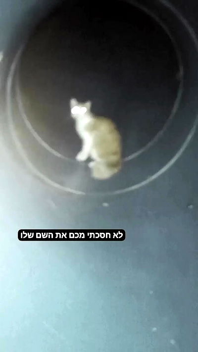 moonyyyya moonyyyya archive video