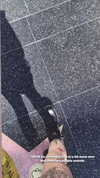 karin_orhov Altpins Profile Picture