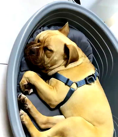 kesemgreenyer kesemgreenyer archive video