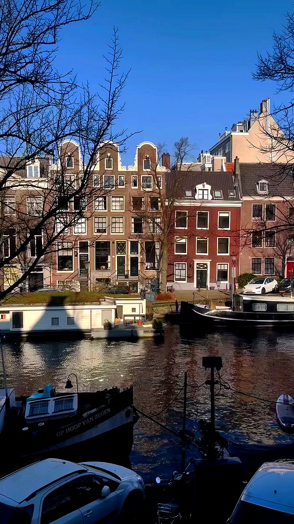 mishel_llll archive video preview