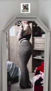 blackivy.xx Altpins Profile Picture