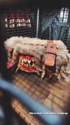 karin_orhov Altpins Profile Picture
