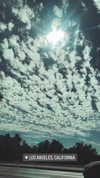 karin_orhov Altpins Profile Picture