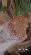 karin_orhov Altpins Profile Picture