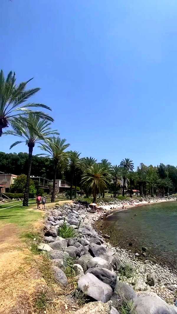 shirel.varol archive video preview