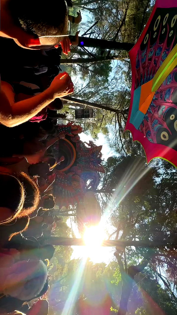 _lironatias archive video preview