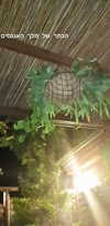 maycohen8 Altpins Profile Picture