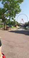 emily_new2 Altpins Profile Picture