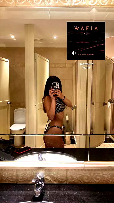 simp_for_cats_ simp_for_cats_ archive video