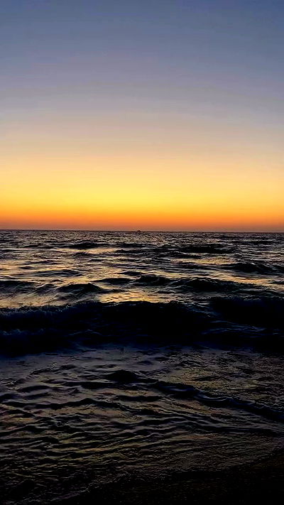 noa_zemlyanski noa_zemlyanski archive video