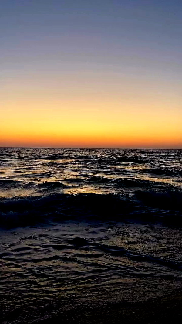 noa_zemlyanski archive video preview
